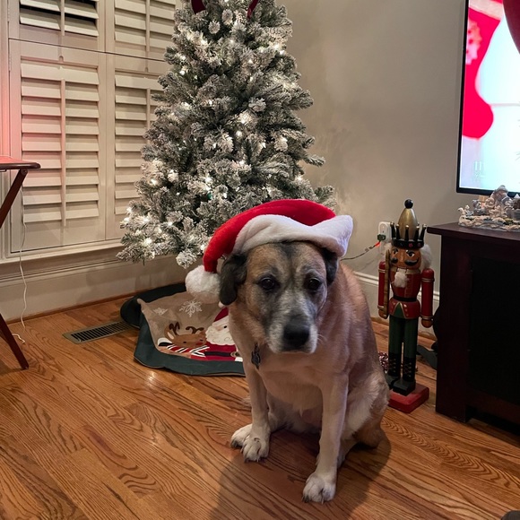 🐸💕🐲IT’S SHOW TIME!!!🐲💕🐸 - Picture 12 of 16